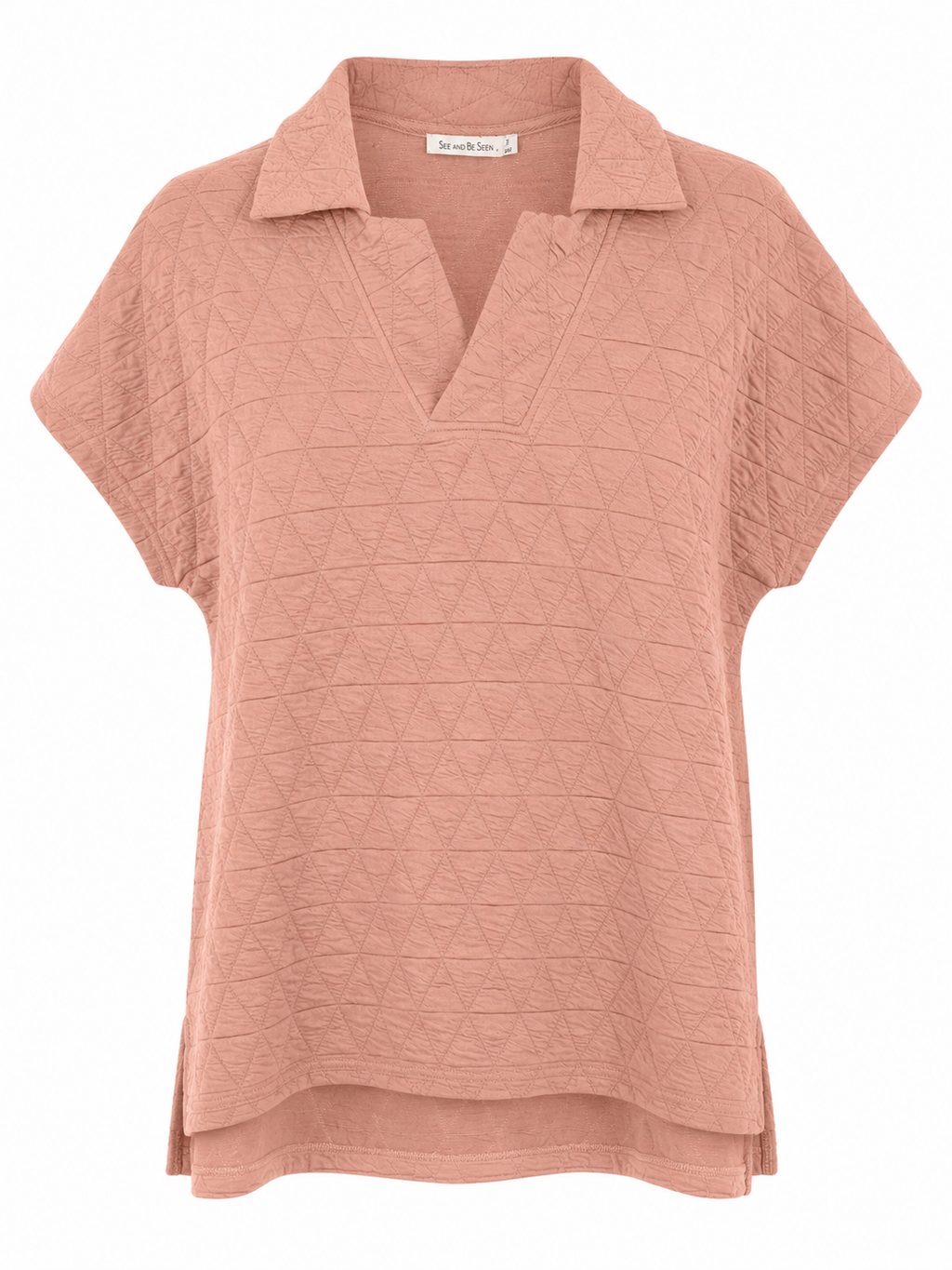 Blushing Beauty Textured Collared Top – Blush