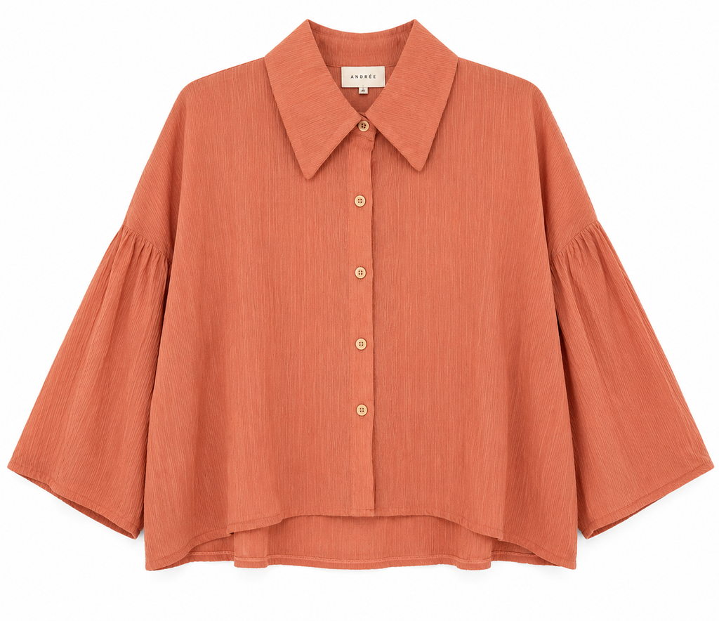 Rust Button Front Bell Sleeve Cropped Blouse
